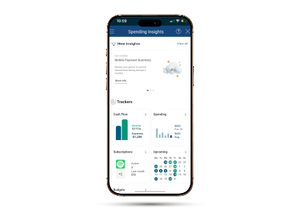 spending insights